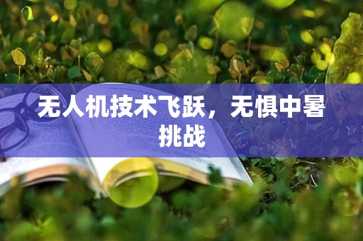 无人机技术飞跃，无惧中暑挑战