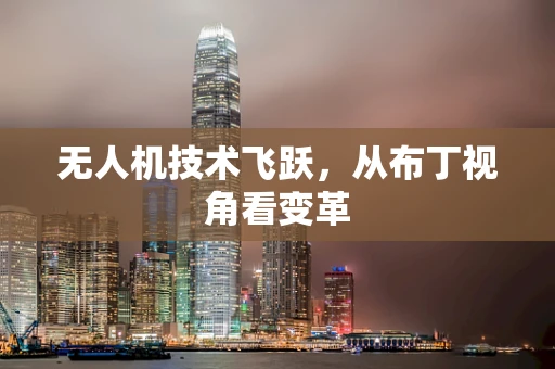 无人机技术飞跃，从布丁视角看变革