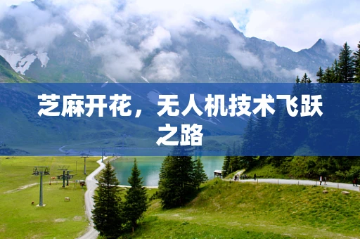 芝麻开花，无人机技术飞跃之路