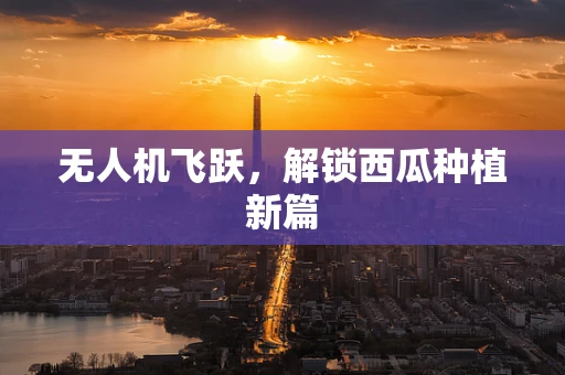 无人机飞跃，解锁西瓜种植新篇