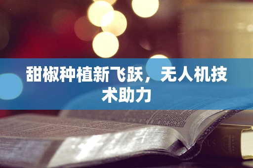甜椒种植新飞跃，无人机技术助力