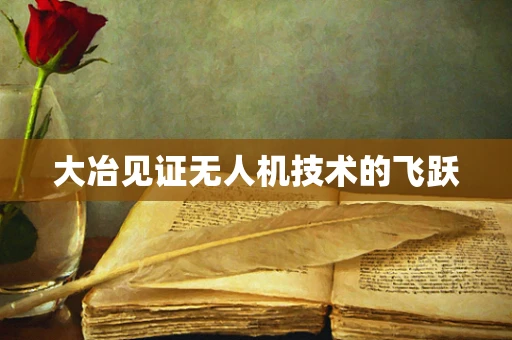 大冶见证无人机技术的飞跃