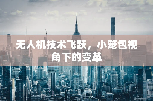 无人机技术飞跃，小笼包视角下的变革