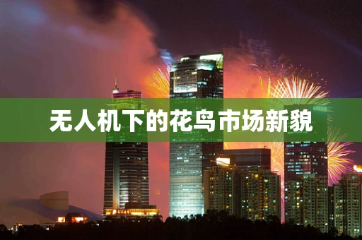无人机下的花鸟市场新貌