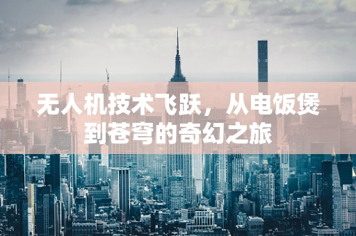 无人机技术飞跃，从电饭煲到苍穹的奇幻之旅