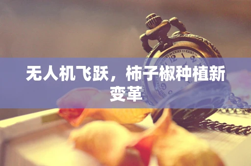 无人机飞跃，柿子椒种植新变革