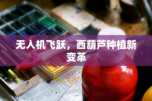 无人机飞跃，西葫芦种植新变革