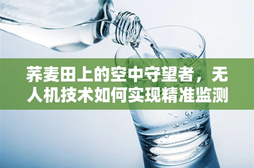 荞麦田上的空中守望者，无人机技术如何实现精准监测？