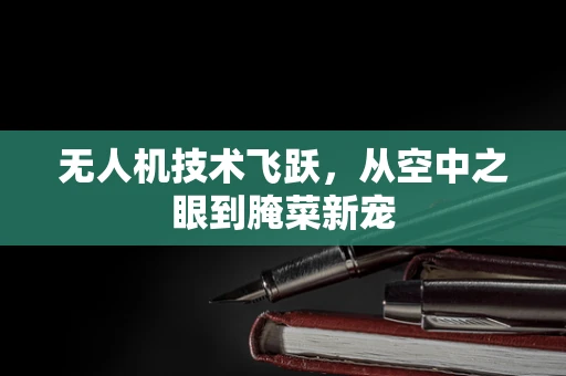 无人机技术飞跃，从空中之眼到腌菜新宠