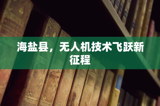 海盐县，无人机技术飞跃新征程