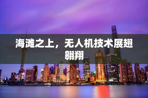 海滩之上，无人机技术展翅翱翔