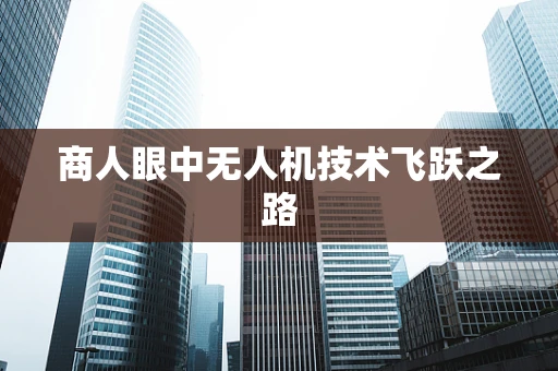 商人眼中无人机技术飞跃之路