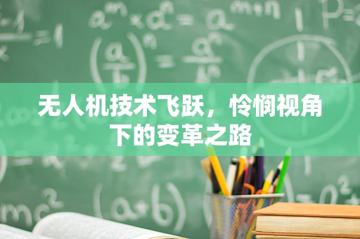 无人机技术飞跃，怜悯视角下的变革之路
