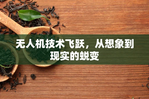 无人机技术飞跃，从想象到现实的蜕变