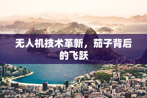 无人机技术革新，茄子背后的飞跃