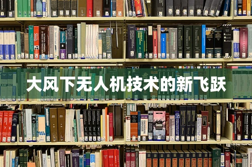 大风下无人机技术的新飞跃