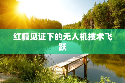 红糖见证下的无人机技术飞跃