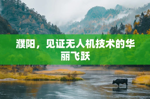 濮阳，见证无人机技术的华丽飞跃