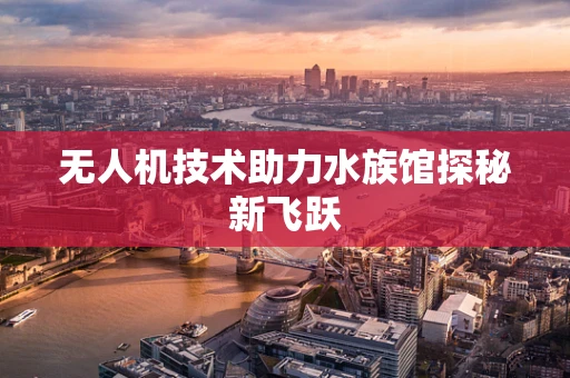 无人机技术助力水族馆探秘新飞跃