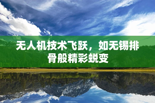 无人机技术飞跃，如无锡排骨般精彩蜕变