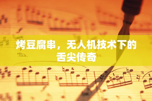 烤豆腐串，无人机技术下的舌尖传奇
