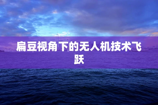 扁豆视角下的无人机技术飞跃