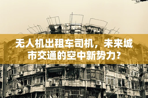 无人机出租车司机，未来城市交通的空中新势力？