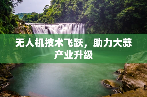 无人机技术飞跃，助力大蒜产业升级