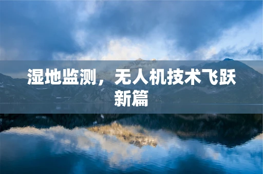 湿地监测，无人机技术飞跃新篇