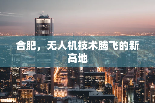 合肥，无人机技术腾飞的新高地