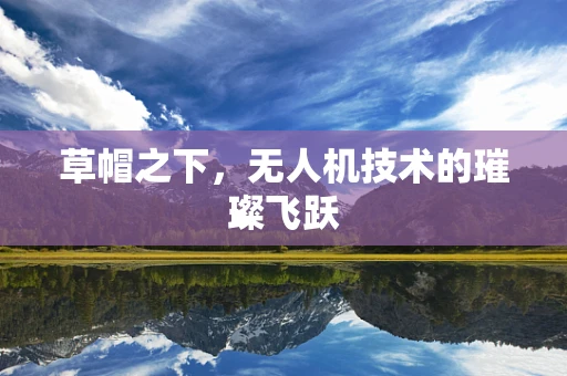 草帽之下，无人机技术的璀璨飞跃