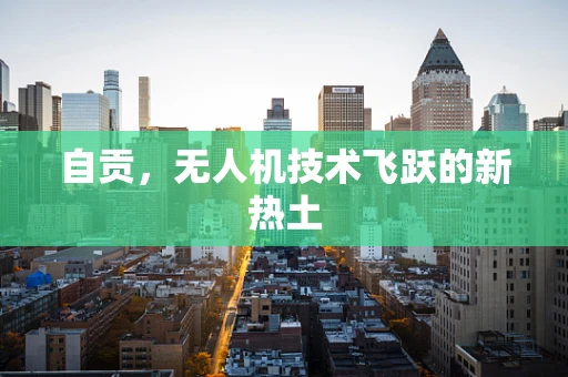 自贡，无人机技术飞跃的新热土