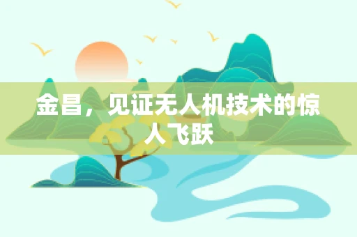 金昌，见证无人机技术的惊人飞跃