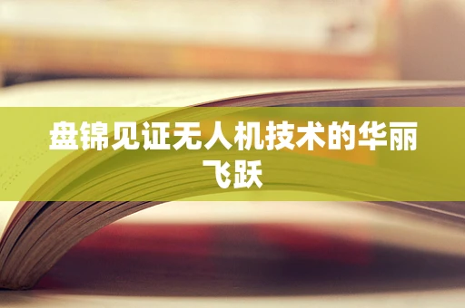 盘锦见证无人机技术的华丽飞跃