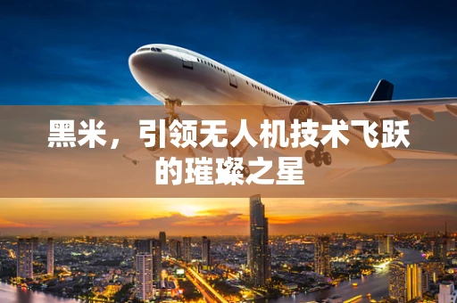 黑米，引领无人机技术飞跃的璀璨之星