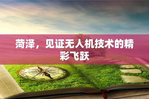 菏泽，见证无人机技术的精彩飞跃