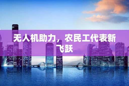 无人机助力，农民工代表新飞跃