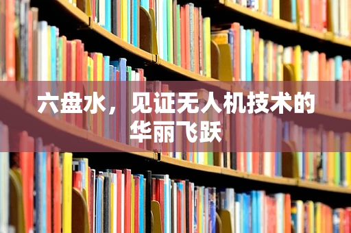 六盘水，见证无人机技术的华丽飞跃