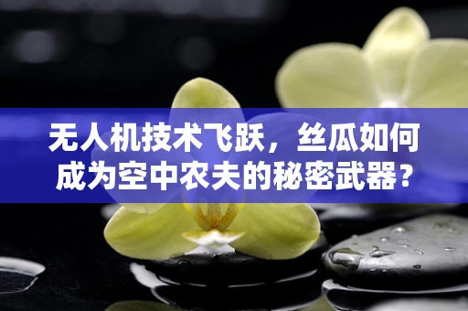 无人机技术飞跃，丝瓜如何成为空中农夫的秘密武器？