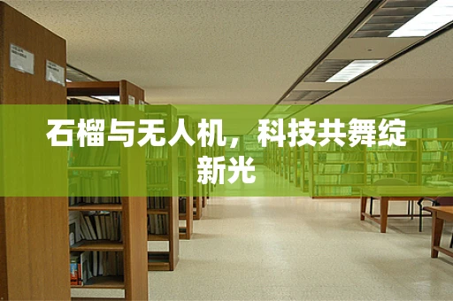 石榴与无人机，科技共舞绽新光