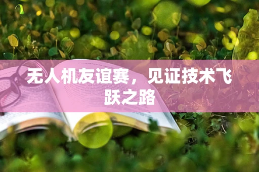 无人机友谊赛，见证技术飞跃之路