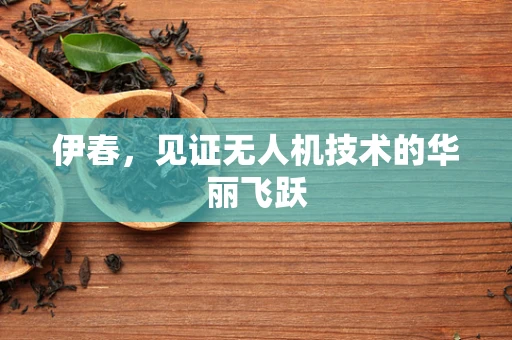 伊春，见证无人机技术的华丽飞跃