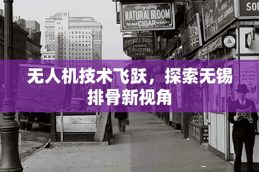 无人机技术飞跃，探索无锡排骨新视角