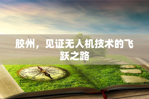 胶州，见证无人机技术的飞跃之路