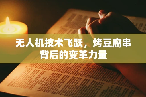 无人机技术飞跃，烤豆腐串背后的变革力量