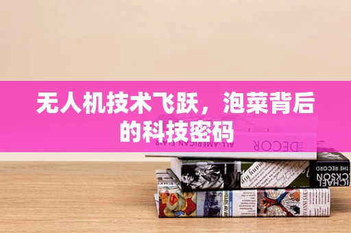 无人机技术飞跃，泡菜背后的科技密码