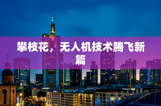 攀枝花，无人机技术腾飞新篇