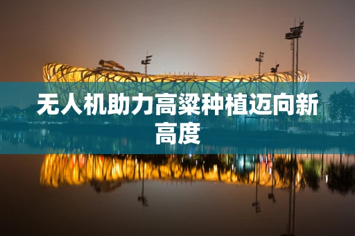 无人机助力高粱种植迈向新高度