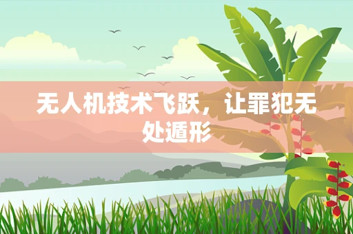 无人机技术飞跃，让罪犯无处遁形
