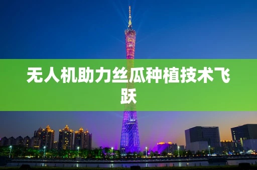 无人机助力丝瓜种植技术飞跃